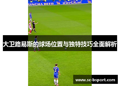 大卫路易斯的球场位置与独特技巧全面解析 大卫路易斯的球场位置与独特技巧全面解析