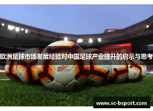 欧洲足球市场发展经验对中国足球产业提升的启示与思考 欧洲足球市场发展经验对中国足球产业提升的启示与思考