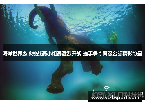 海洋世界游泳挑战赛小组赛激烈开战 选手争夺晋级名额精彩纷呈
