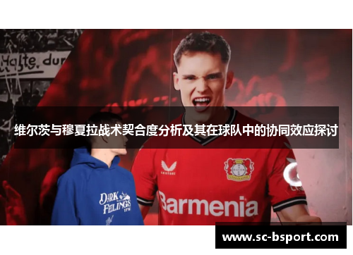 维尔茨与穆夏拉战术契合度分析及其在球队中的协同效应探讨