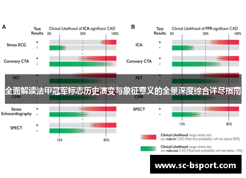 全面解读法甲冠军标志历史演变与象征意义的全景深度综合详尽指南