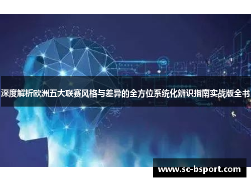 深度解析欧洲五大联赛风格与差异的全方位系统化辨识指南实战版全书