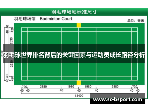 羽毛球世界排名背后的关键因素与运动员成长路径分析 羽毛球世界排名背后的关键因素与运动员成长路径分析
