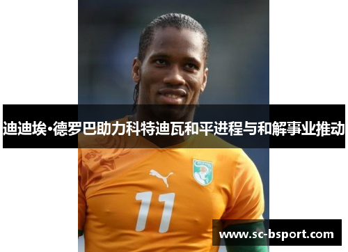 迪迪埃·德罗巴助力科特迪瓦和平进程与和解事业推动