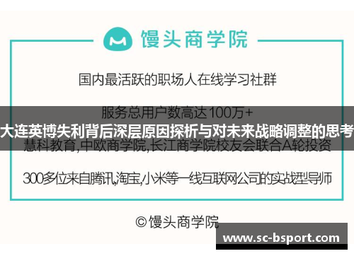 大连英博失利背后深层原因探析与对未来战略调整的思考