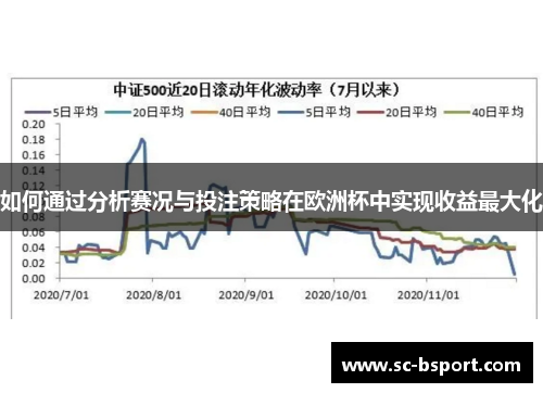 如何通过分析赛况与投注策略在欧洲杯中实现收益最大化