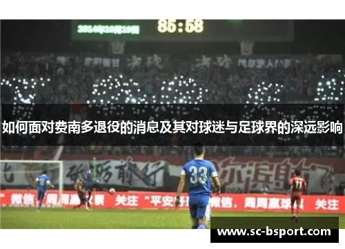如何面对费南多退役的消息及其对球迷与足球界的深远影响