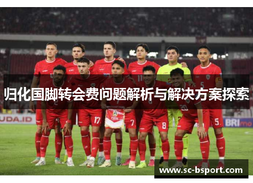归化国脚转会费问题解析与解决方案探索 归化国脚转会费问题解析与解决方案探索