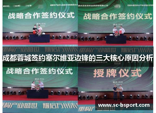 成都蓉城签约塞尔维亚边锋的三大核心原因分析 成都蓉城签约塞尔维亚边锋的三大核心原因分析