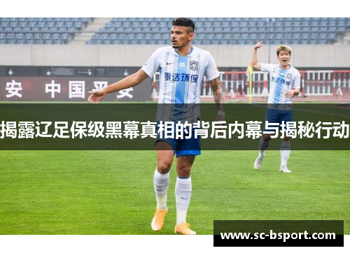 揭露辽足保级黑幕真相的背后内幕与揭秘行动